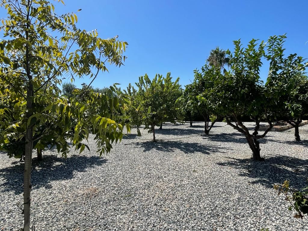 Villa in Paphos, Zypern, 250 m² - Foto 3