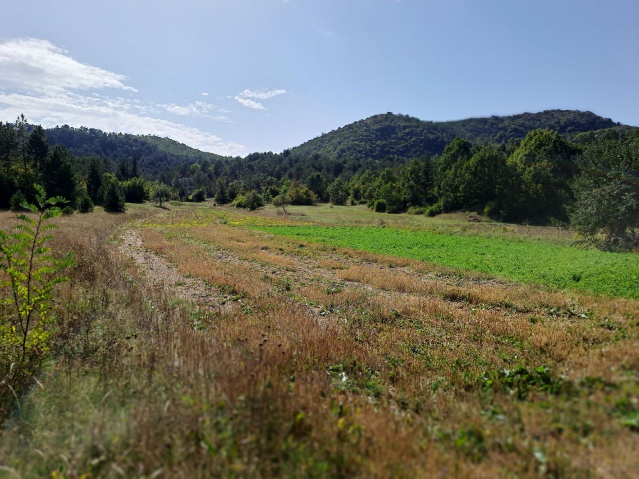 Terrain à Grahovo, Monténégro, 30 000 m² - image 3