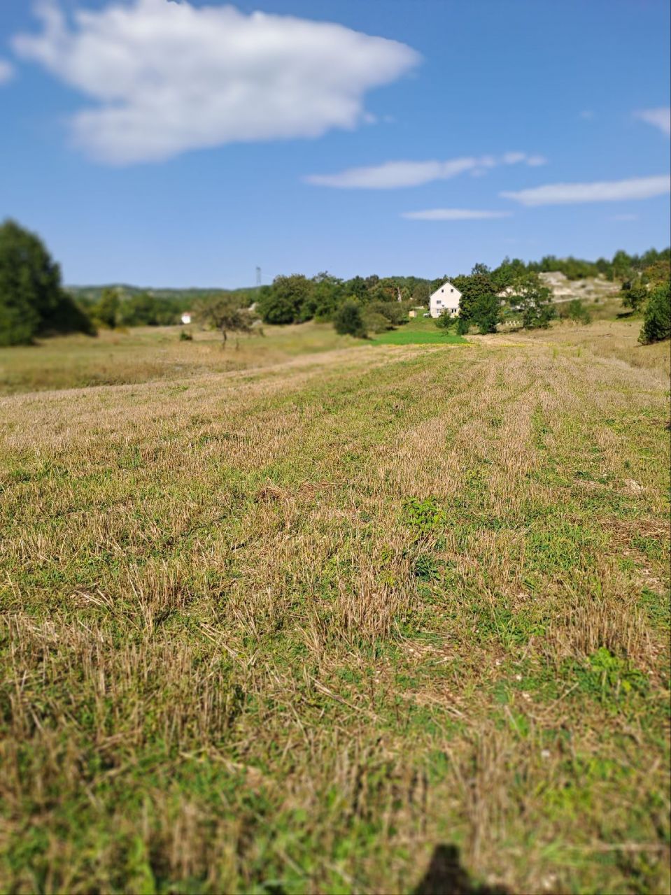 Terrain à Grahovo, Monténégro, 30 000 m² - image 4