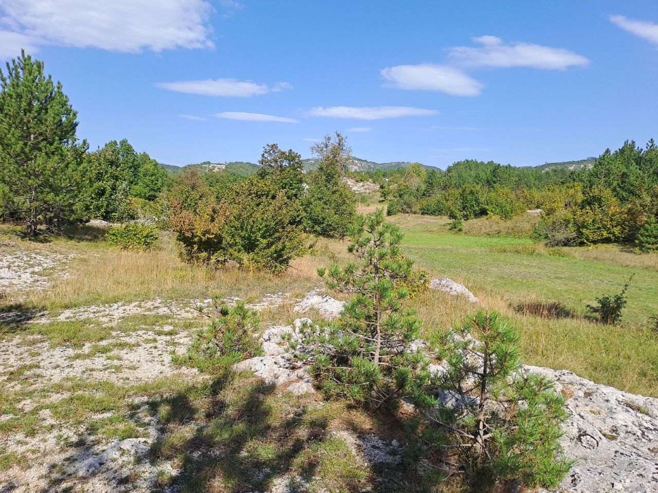 Terrain à Grahovo, Monténégro, 30 000 m² - image 5