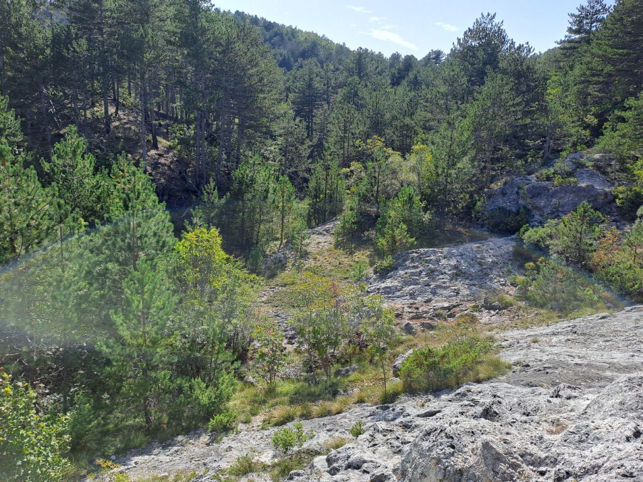 Terrain à Grahovo, Monténégro, 30 000 m² - image 12