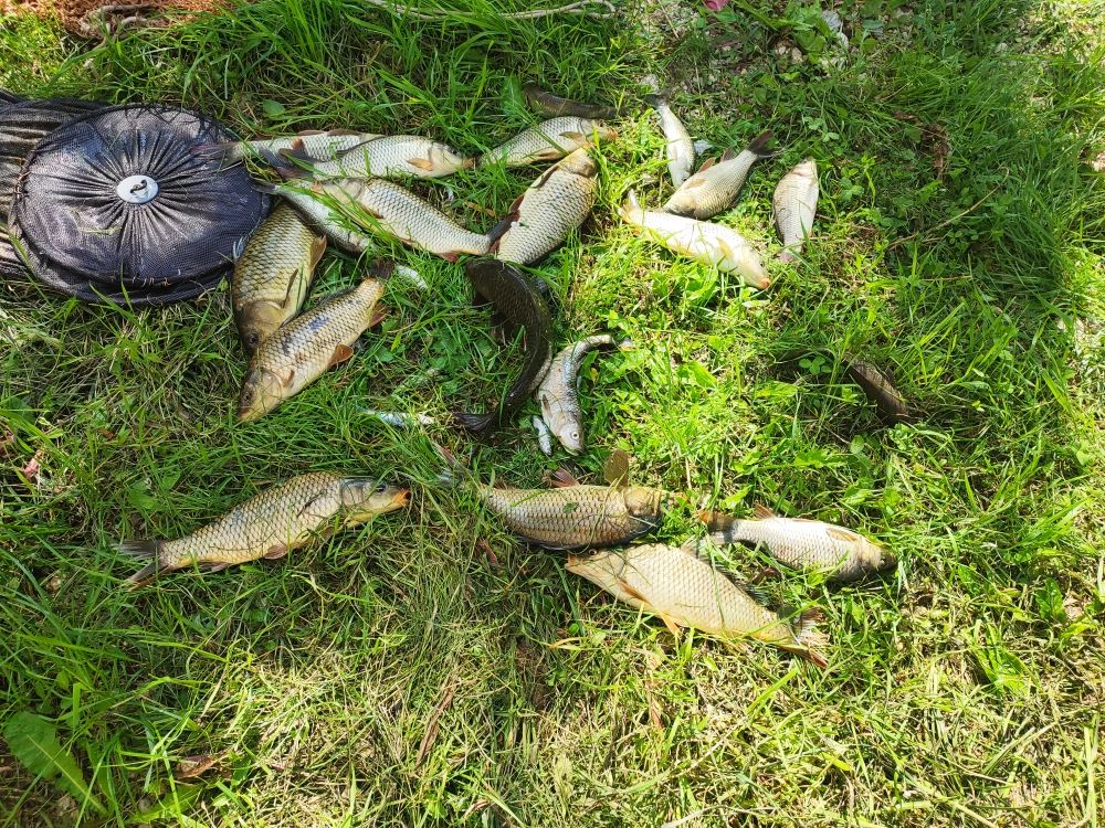 House in Niksic, Montenegro, 189 m² - picture 13