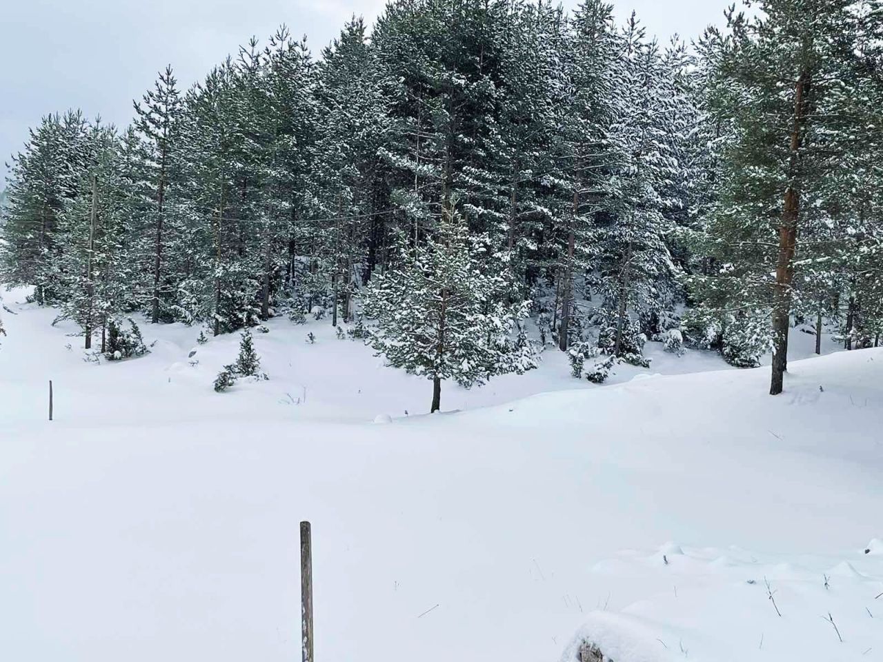 Bungalow in Zabljak, Montenegro, 20 m² - Foto 4