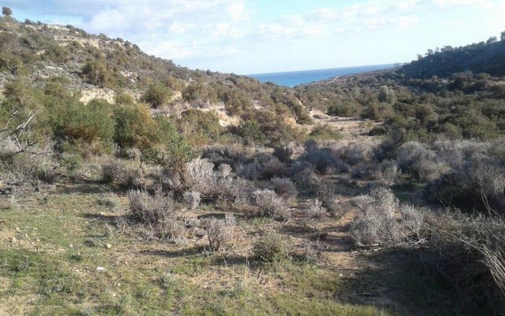 Land in Limassol, Cyprus, 18 785 m² - picture 1