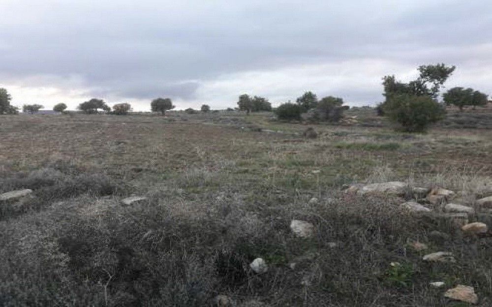 Land in Limassol, Cyprus, 58 529 m² - picture 1