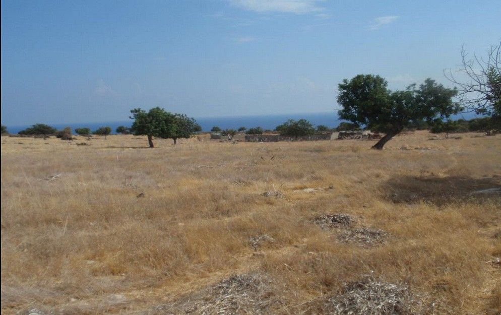 Land in Limassol, Cyprus, 12 041 m² - picture 1