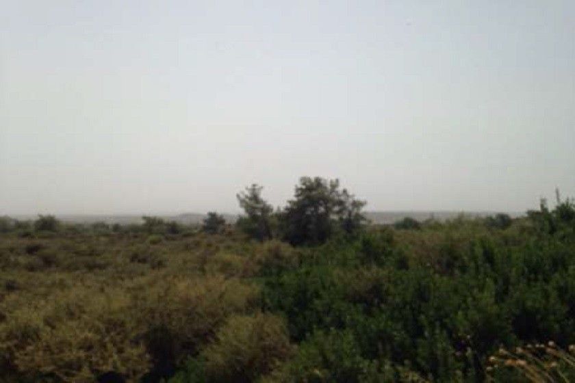 Land in Limassol, Cyprus, 21 740 m² - picture 1