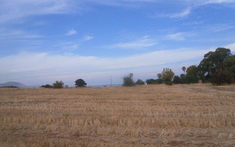 Terrain à Paphos, Chypre, 15 051 m² - image 1