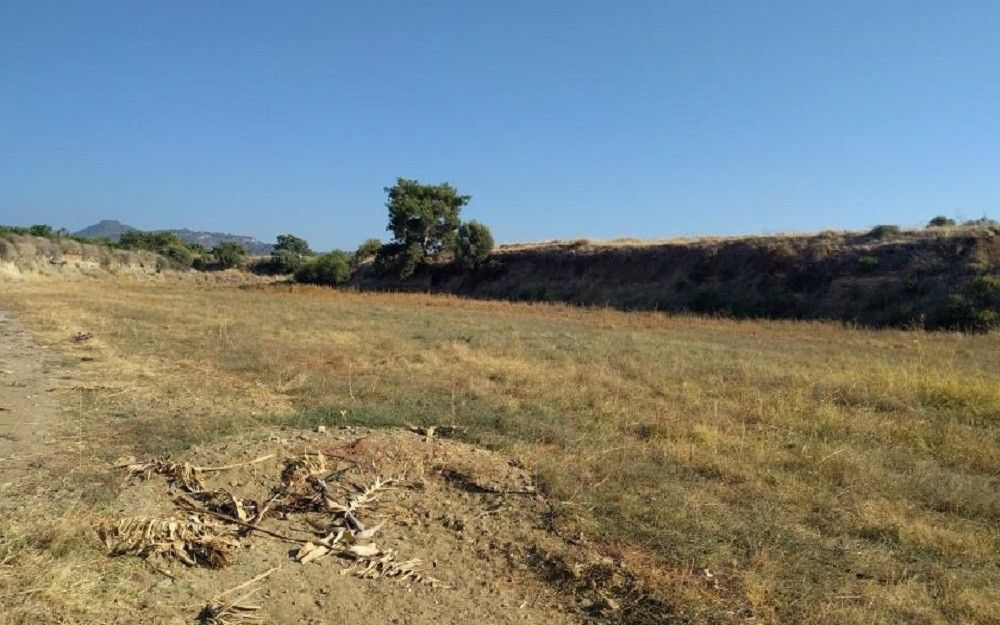 Terrain à Paphos, Chypre, 7 024 m² - image 1