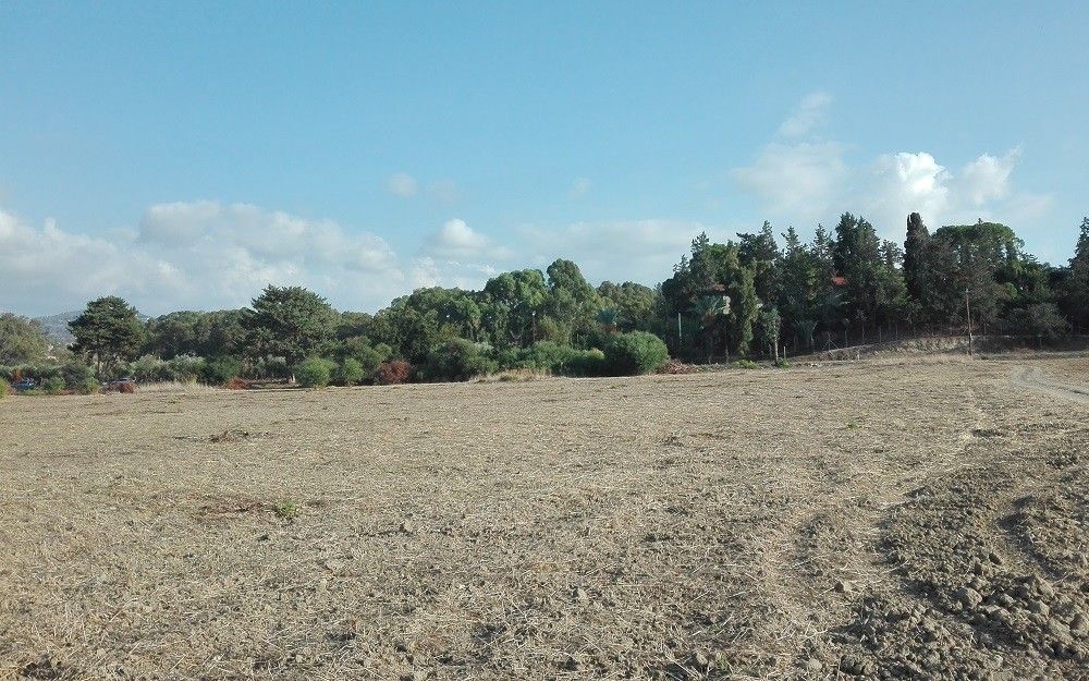 Terrain à Paphos, Chypre, 1 011 m² - image 1