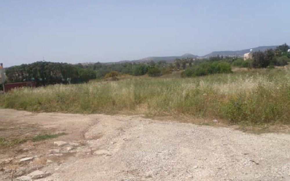 Terrain à Paphos, Chypre, 2 443 m² - image 1