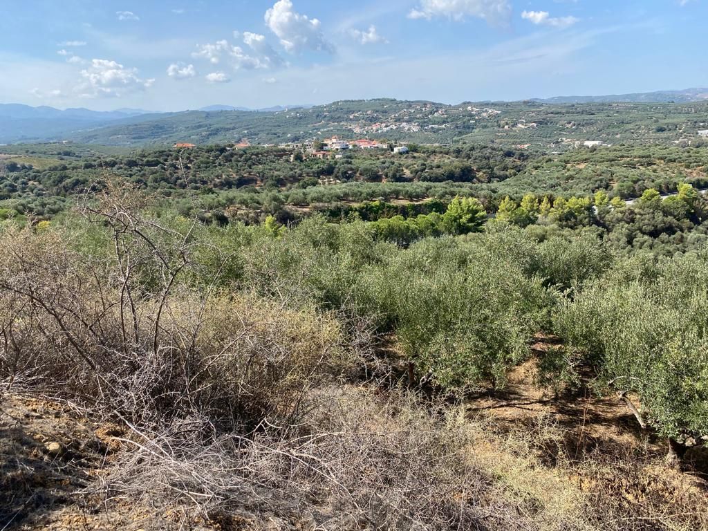 Grundstück in Heraklion, Griechenland, 5 350 m² - Foto 2