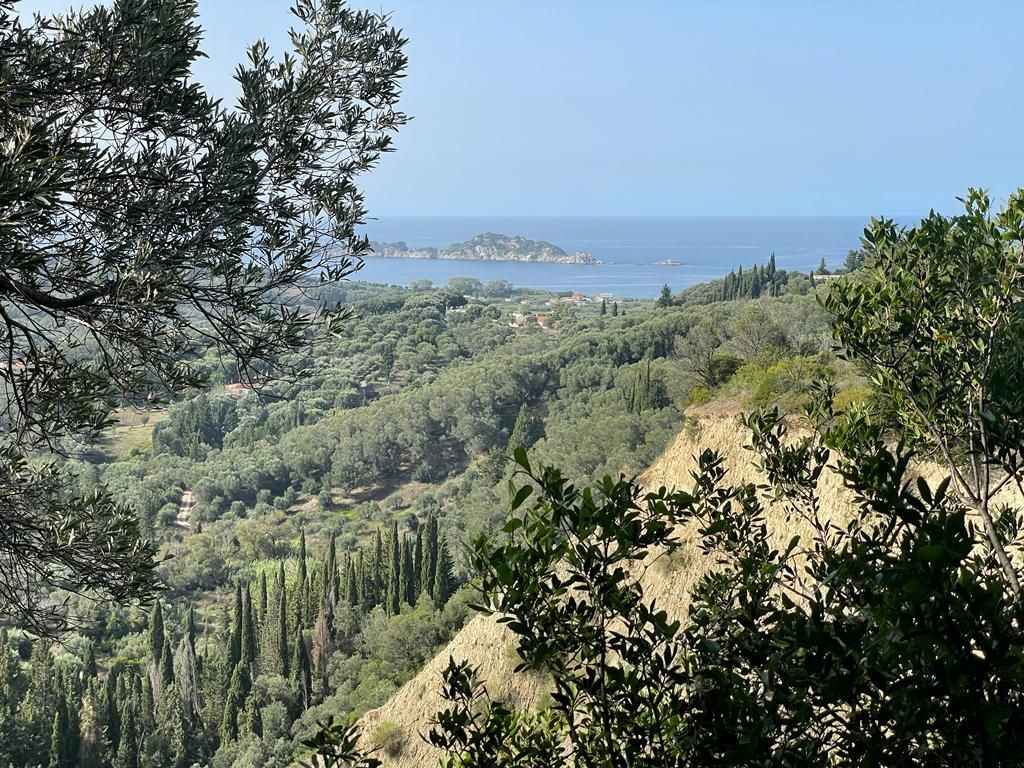 Land in Corfu, Greece, 12 000 m² - picture 1