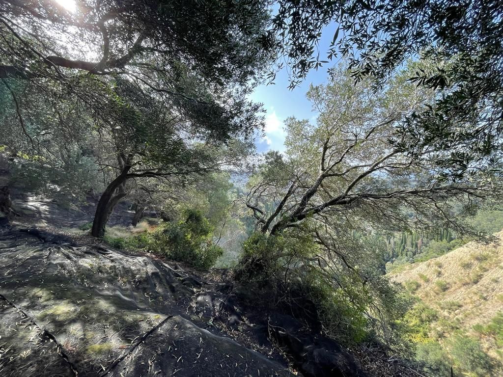 Terreno a Corfù, Grecia, 12 000 m2 - foto 14
