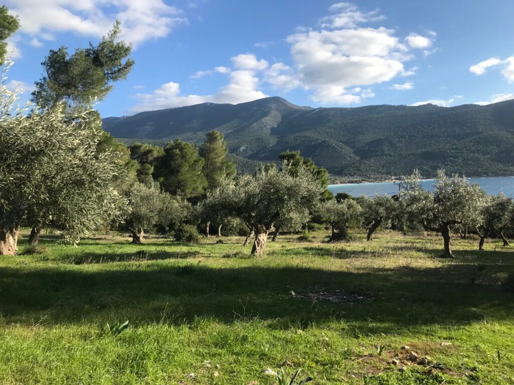 Terreno en Beocia, Grecia, 3 660 m² - imagen 1