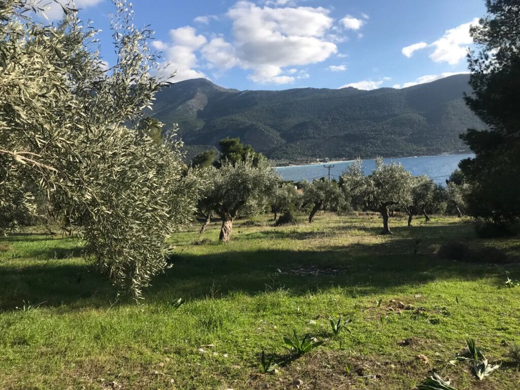 Land in Attica, Greece, 3 660 m² - picture 2