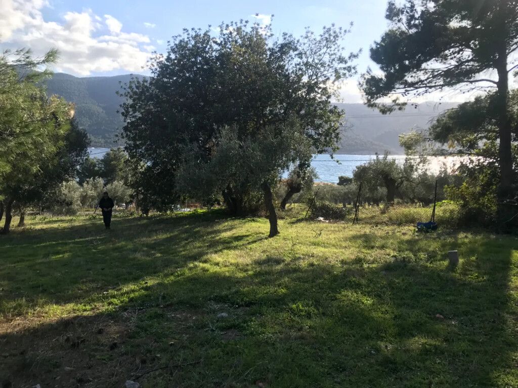 Land in Attica, Greece, 3 660 m² - picture 3