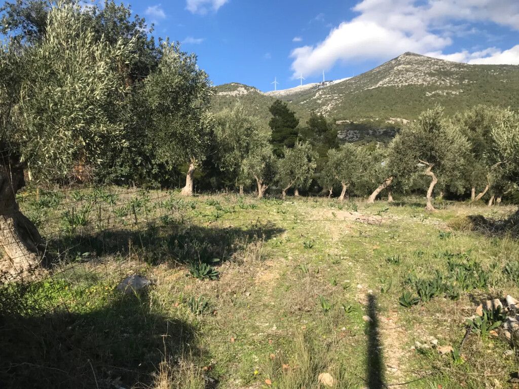 Land in Attica, Greece, 3 660 m² - picture 4