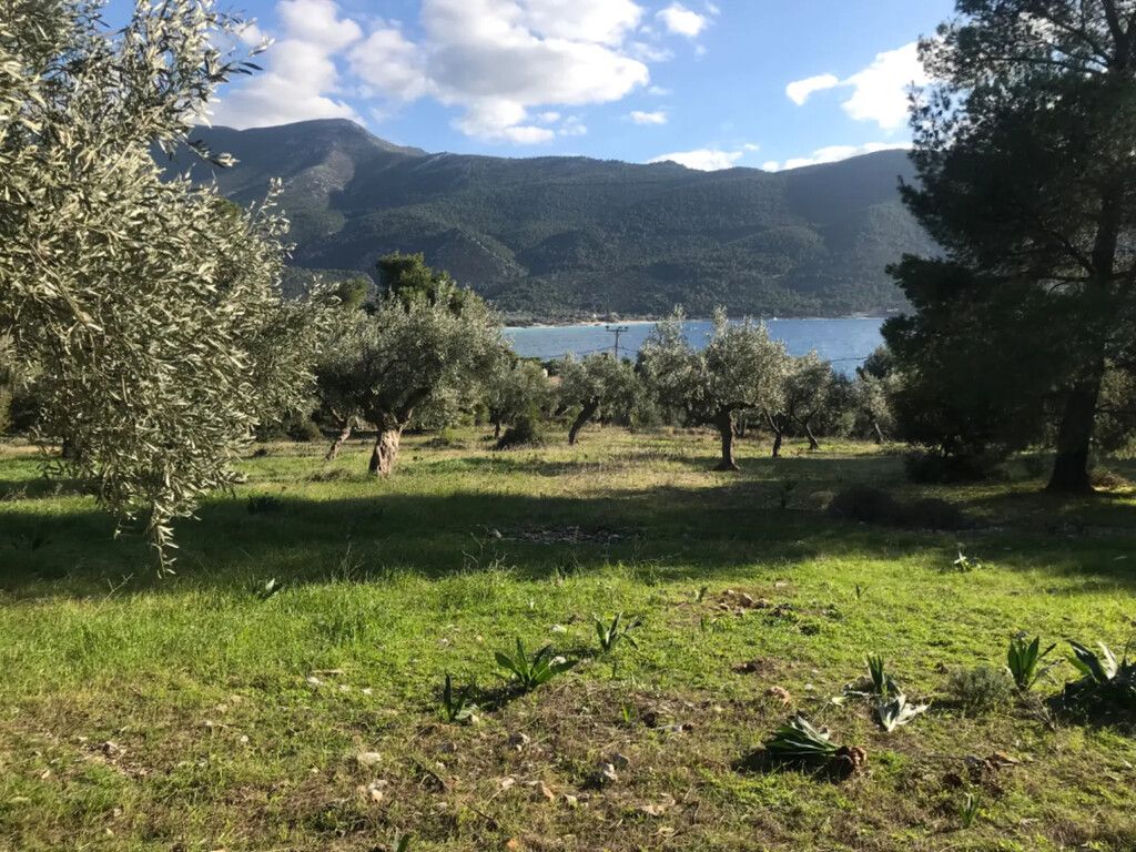 Land in Attica, Greece, 3 660 m² - picture 6