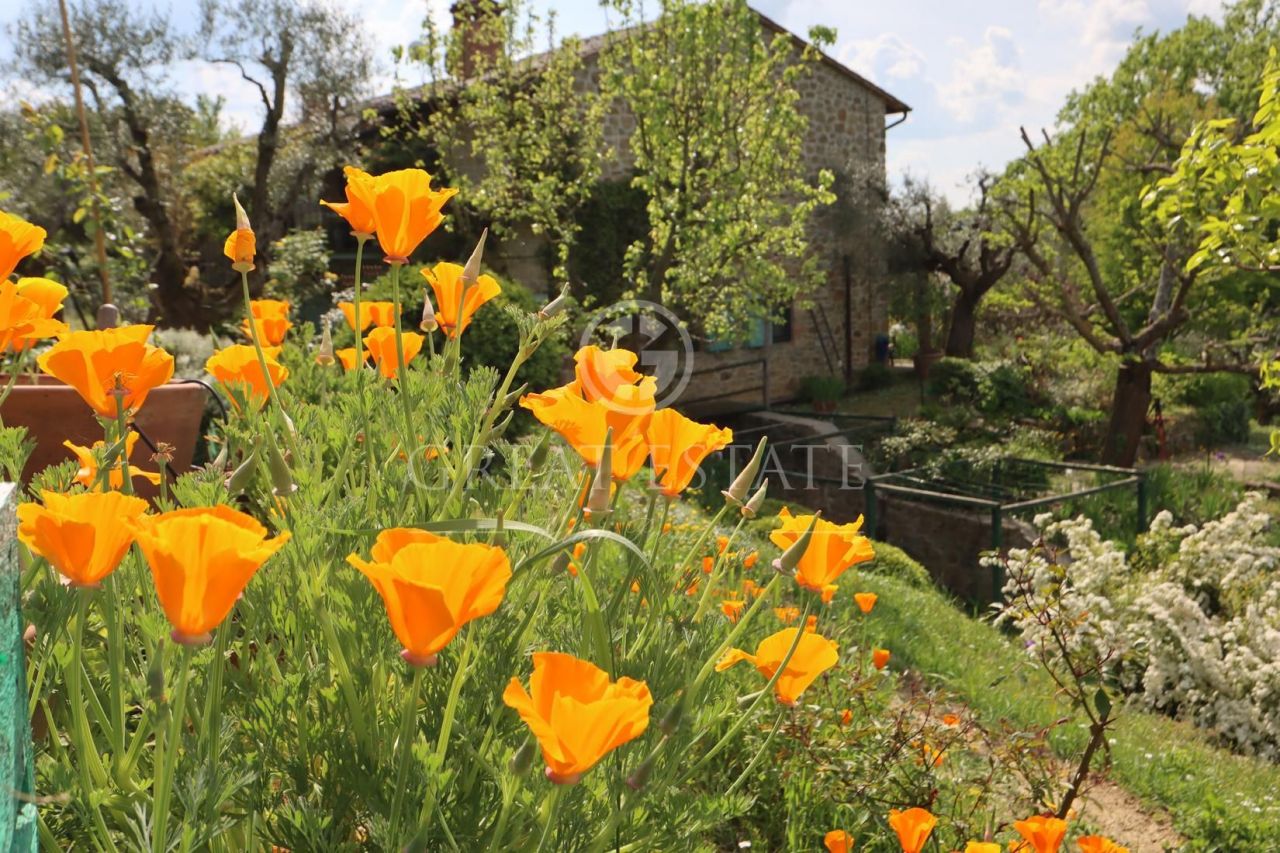 Haus in Paciano, Italien, 332.6 m² - Foto 1