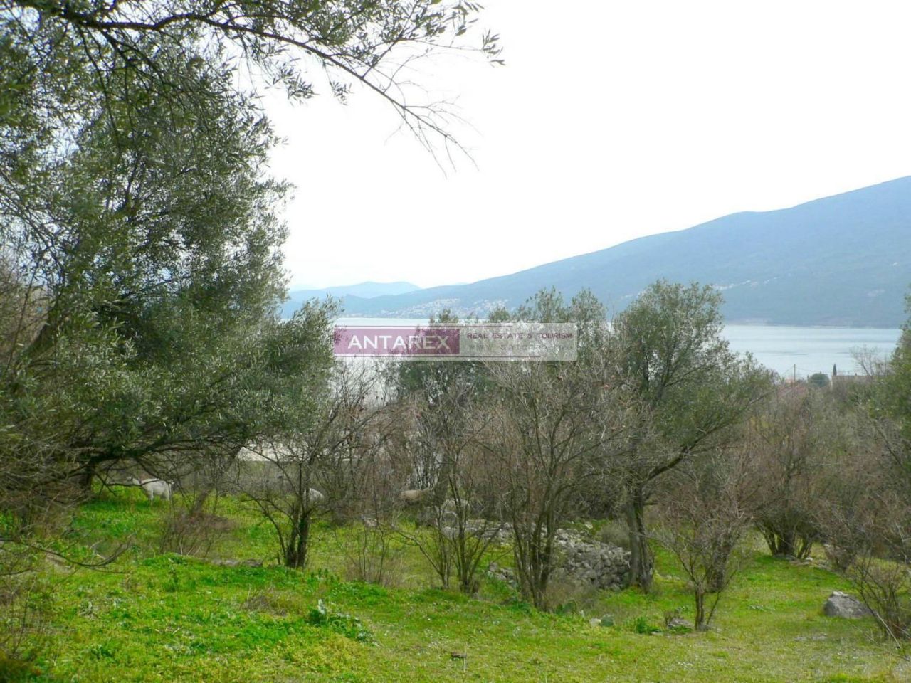 Land in Denovici, Montenegro, 979 m² - picture 1