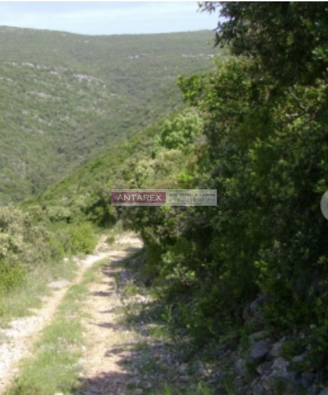 Terreno en Luštica, Montenegro, 5 774 m² - imagen 3