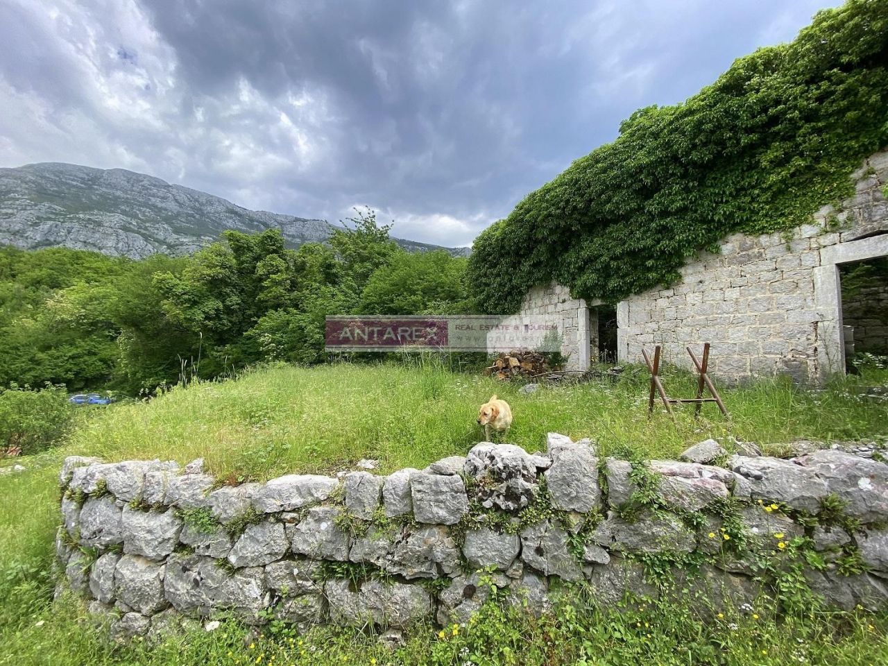 Villa in Herceg-Novi, Montenegro, 92 m² - picture 3