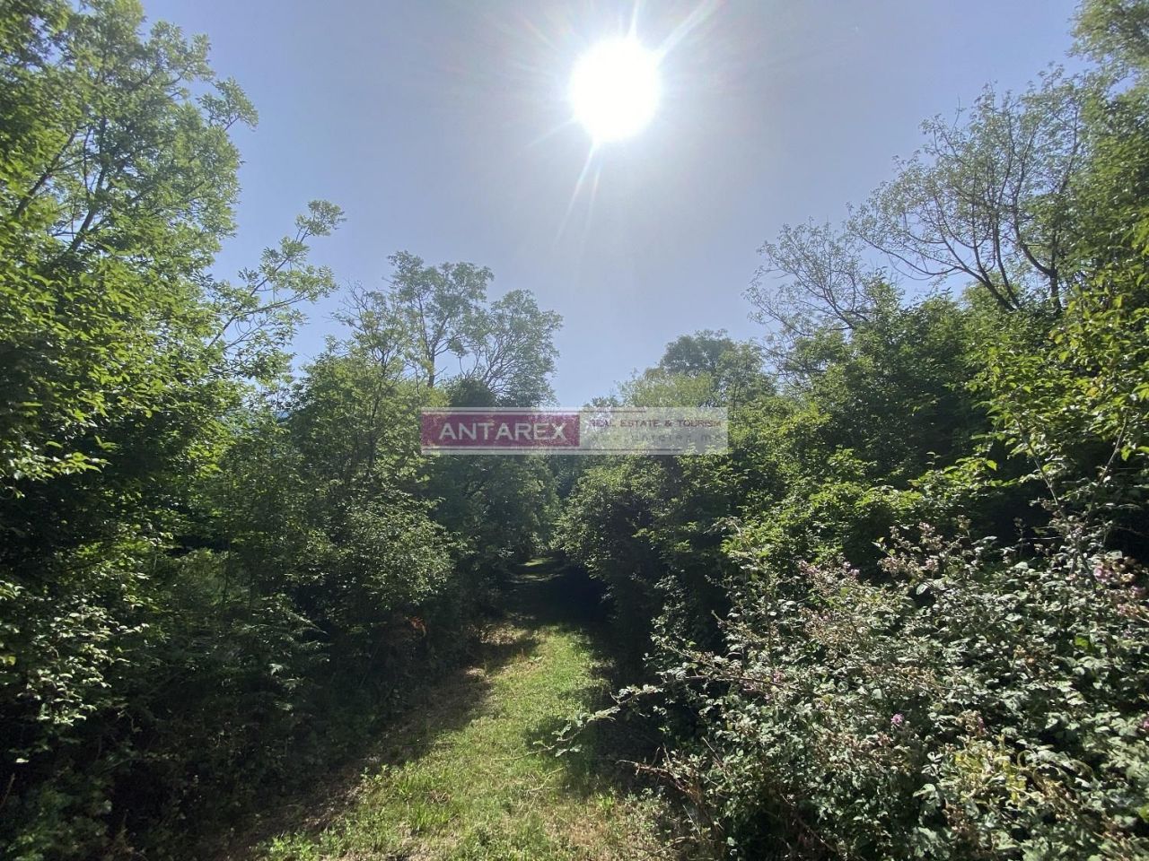 Land in Herceg-Novi, Montenegro, 2 465 m² - picture 3