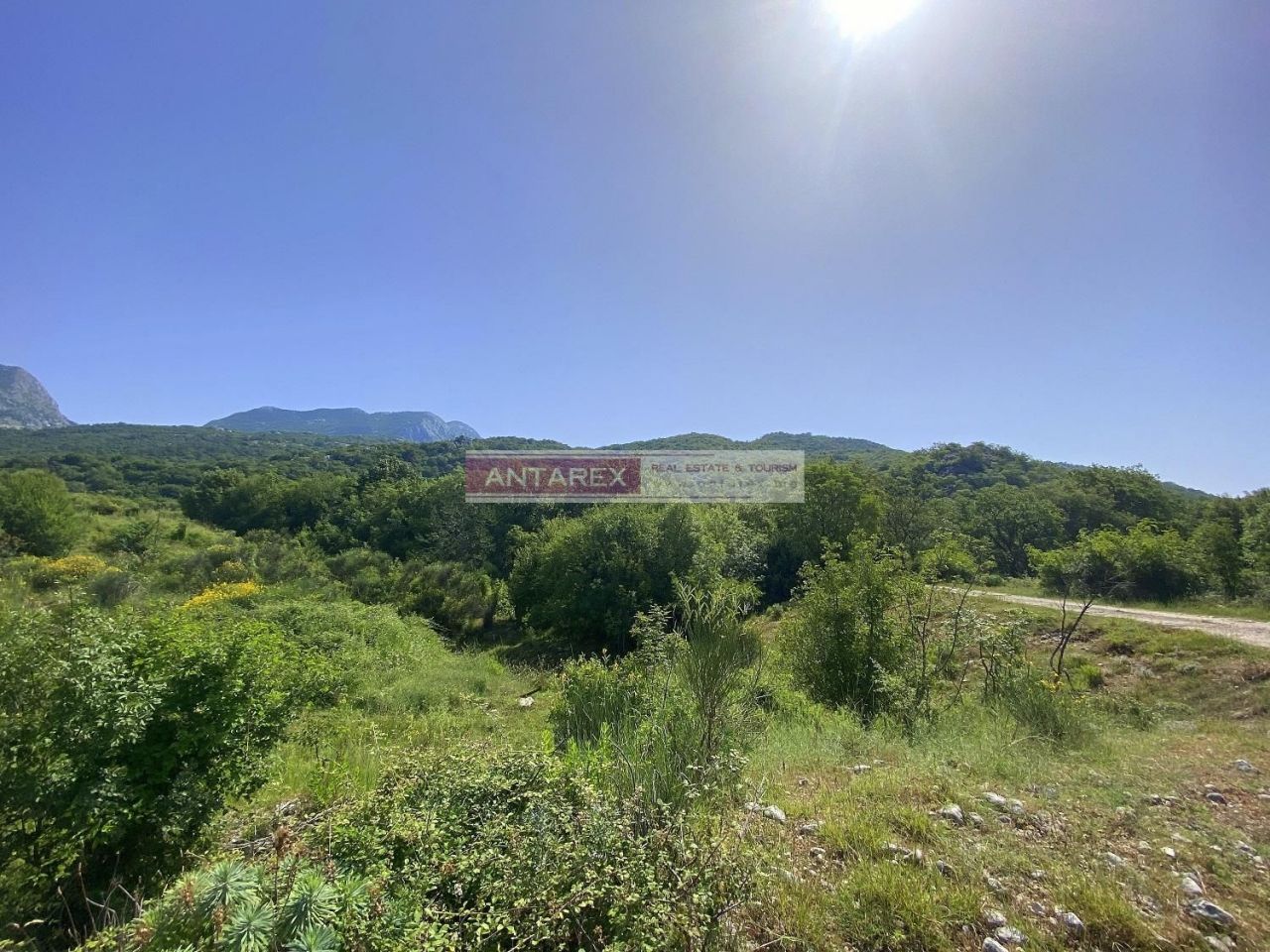 Land in Herceg-Novi, Montenegro, 4 686 m² - picture 3