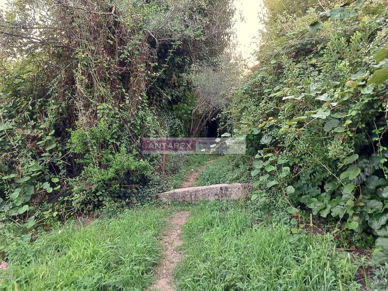 Terreno en Bijela, Montenegro, 987 m² - imagen 4