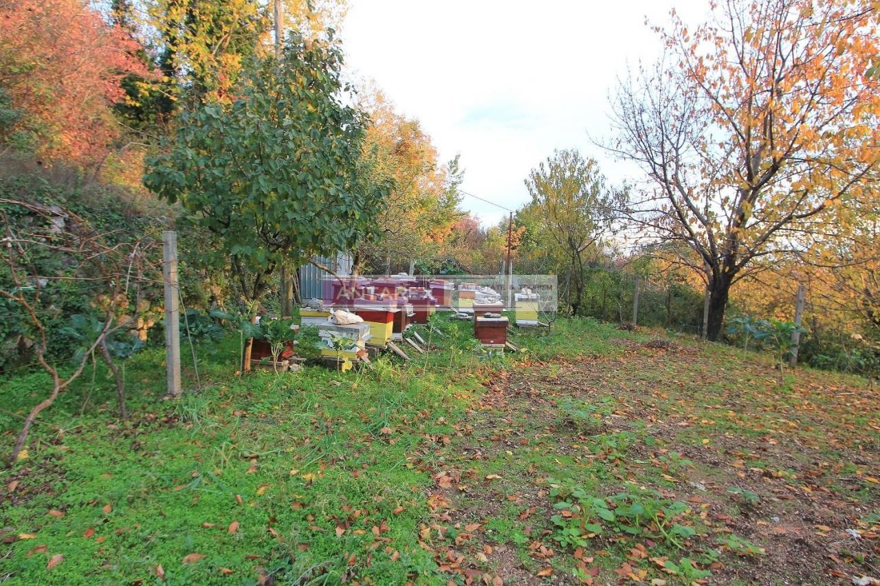 Land in Herceg-Novi, Montenegro, 669 m² - picture 6