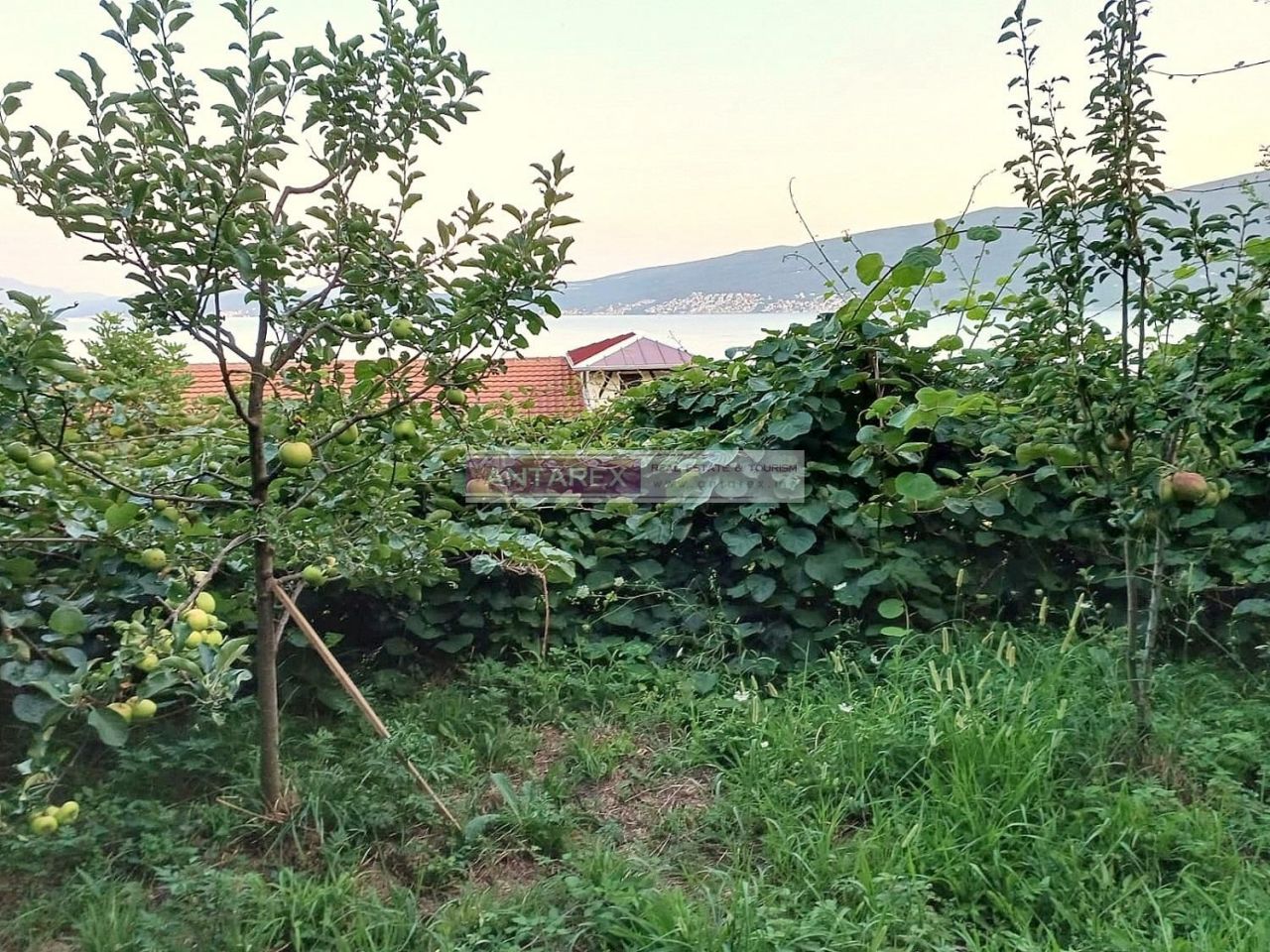 Terreno en Bijela, Montenegro, 987 m² - imagen 6