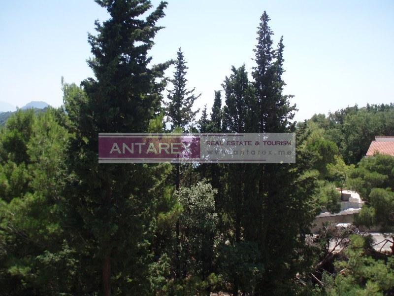 Villa in Petrovac, Montenegro - picture 7