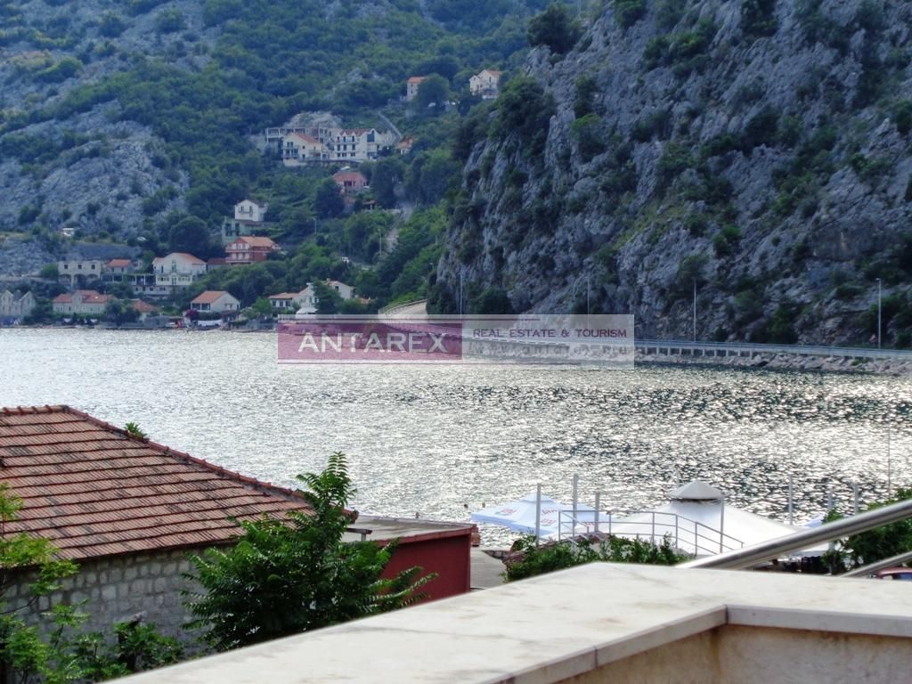 Biens commerciaux à Risan, Monténégro - image 12