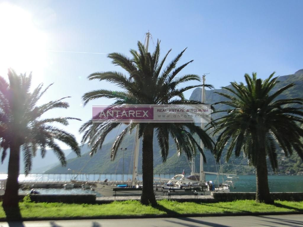 Biens commerciaux à Risan, Monténégro - image 14