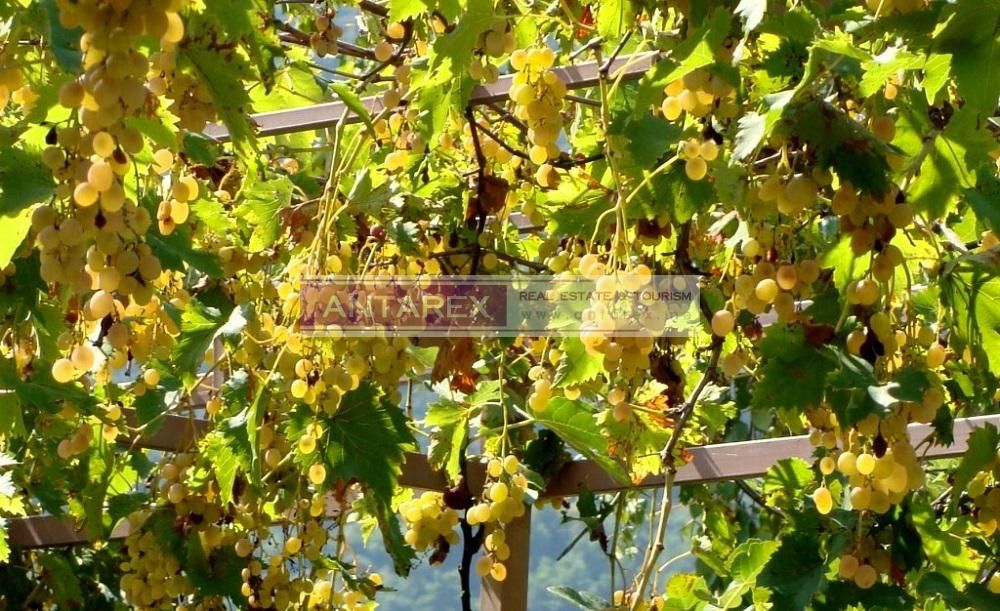 Villa en Herceg-Novi, Montenegro, 144 m² - imagen 15