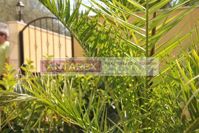 Commercial property in Durasevici, Montenegro, 300 m² - picture 19