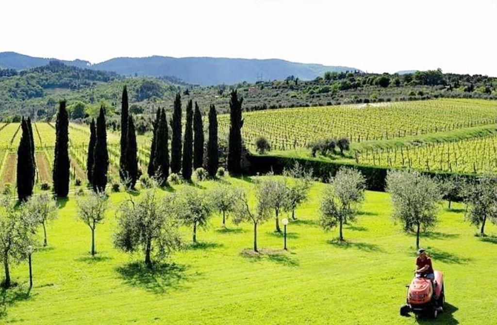 Commercial apartment building in Chianti, Italy, 700 m² - picture 5