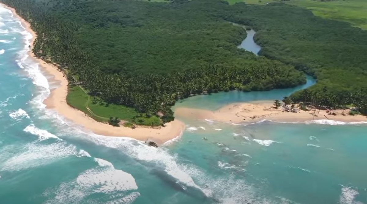 Terrain à Punta Cana, République dominicaine, 380 m² - image 4