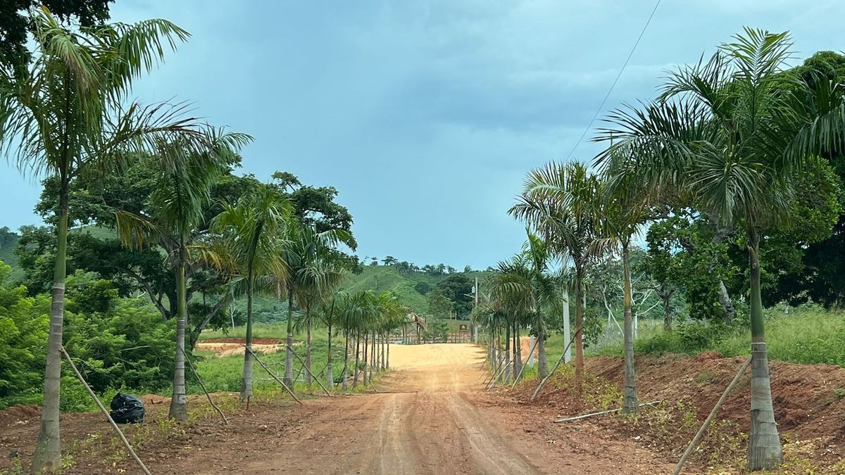 Land in Punta Cana, Dominican Republic, 380 m² - picture 1