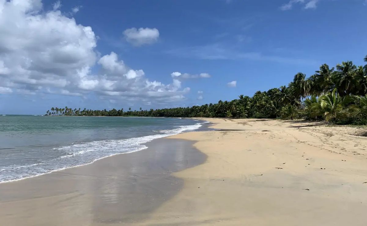 Terrain à Punta Cana, République dominicaine, 380 m² - image 16