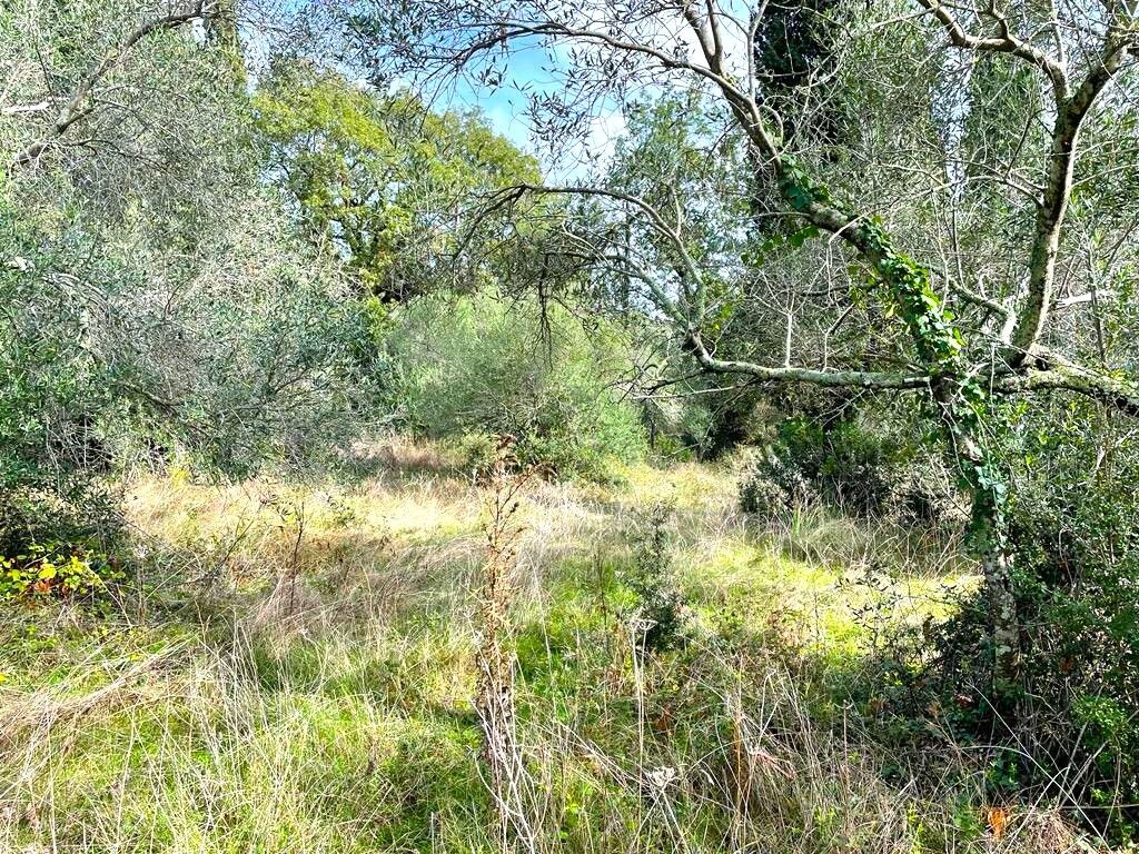 Grundstück in Korfu, Griechenland, 12 000 m² - Foto 12