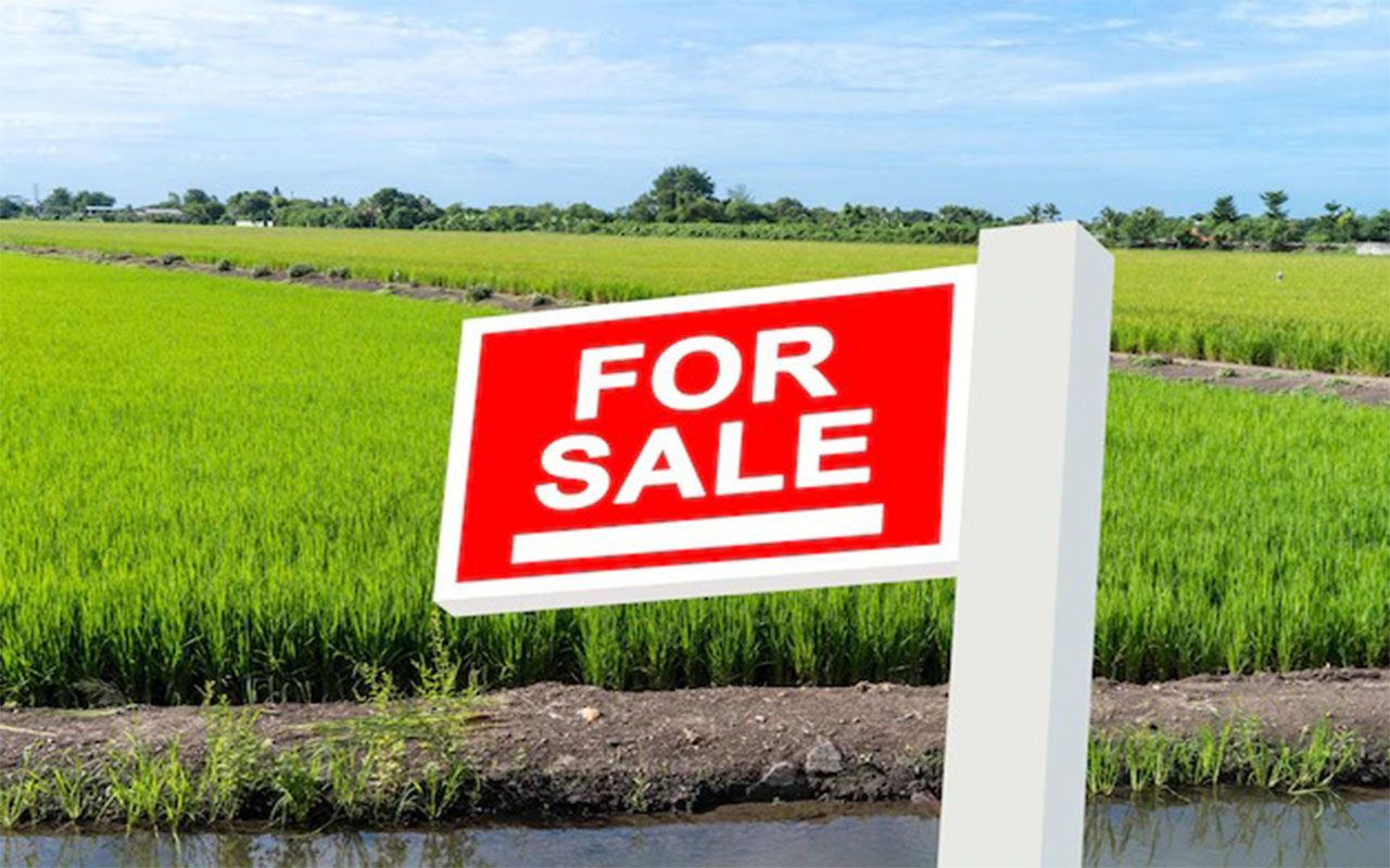 Land in Antalya, Turkey - picture 1