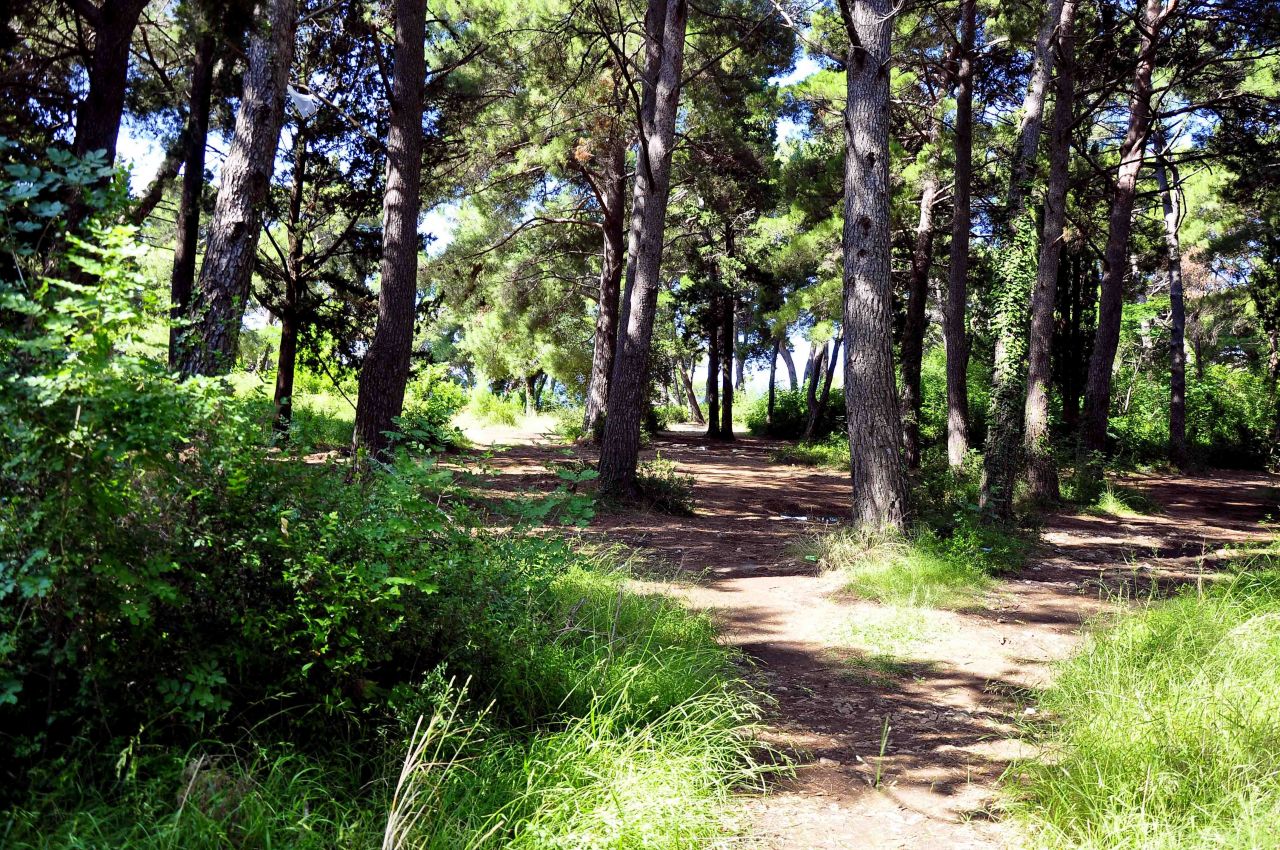 Hotel in Bar, Montenegro, 400 m² - picture 12