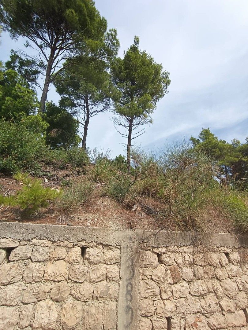 Land in Bar, Montenegro, 860 m² - picture 7