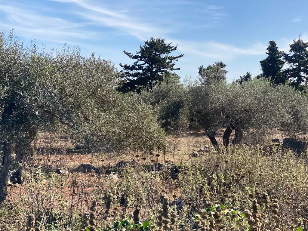 Grundstück in Heraklion, Griechenland, 5 687 m² - Foto 2