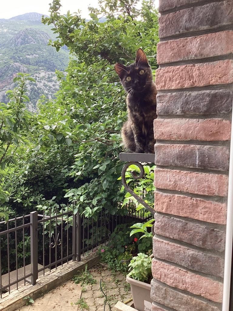 Casa en Kotor, Montenegro, 115 m² - imagen 18