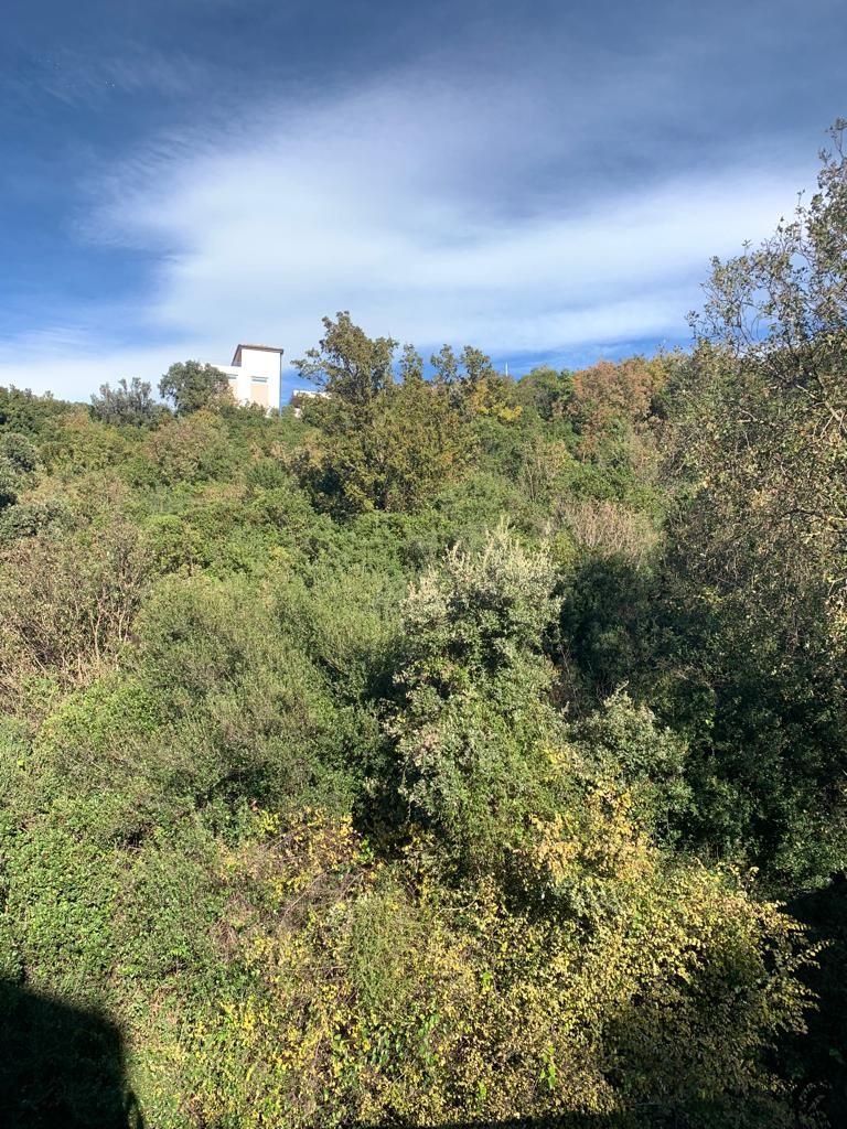 Terreno en Utjeha, Montenegro, 1 594 m² - imagen 4