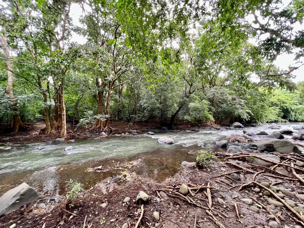 Land in Tamarin, Mauritius, 11 ares - picture 1