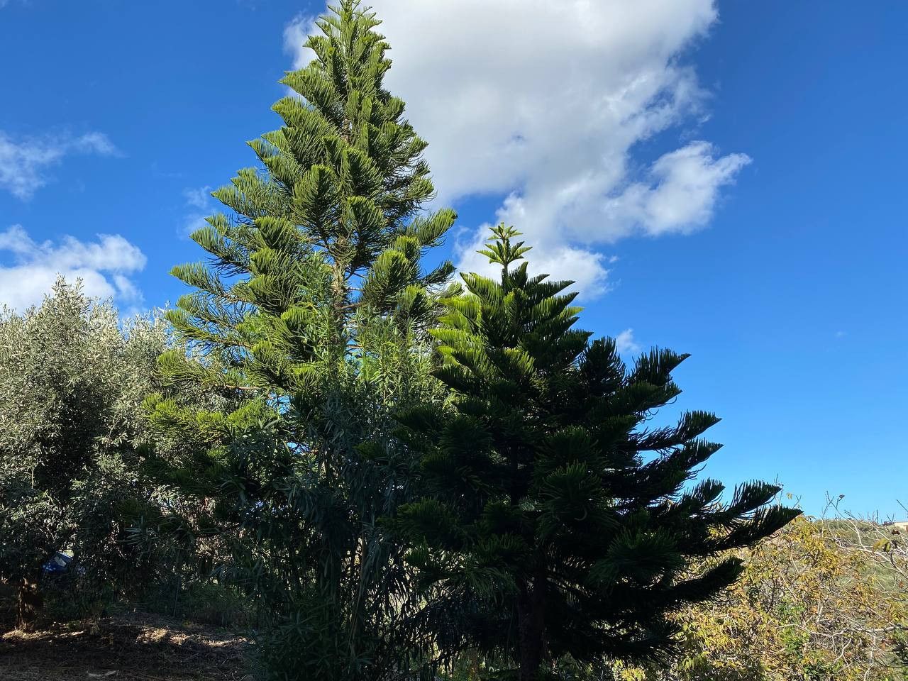 Casa nella prefettura di Chania, Grecia, 120 m² - foto 3